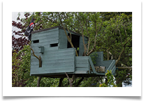 rn. Painted the tree house r - Richard Nicholls